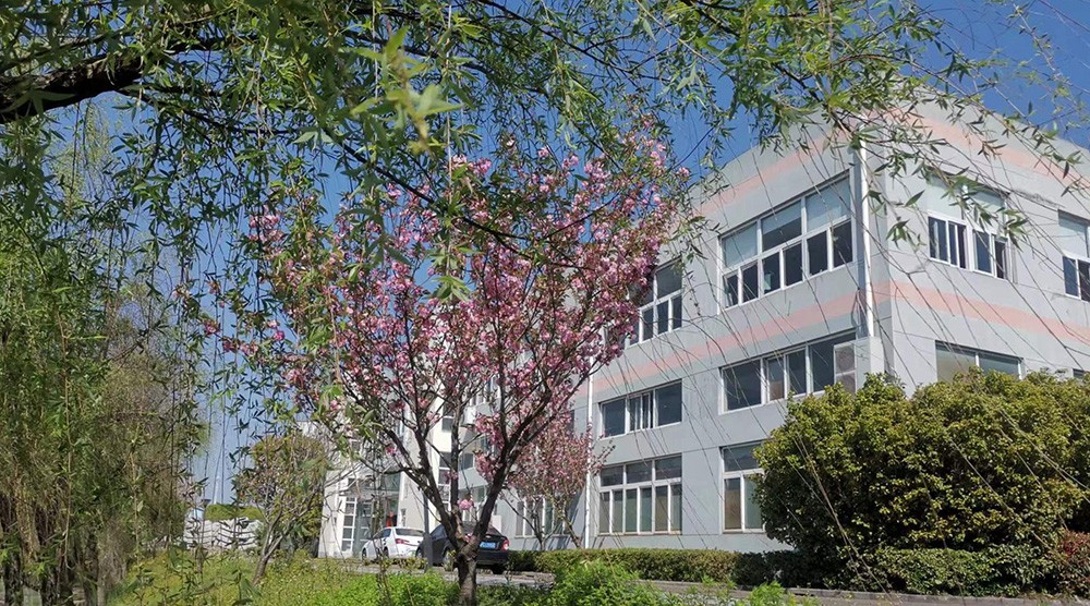 1699956275350602.jpg 03.jpg